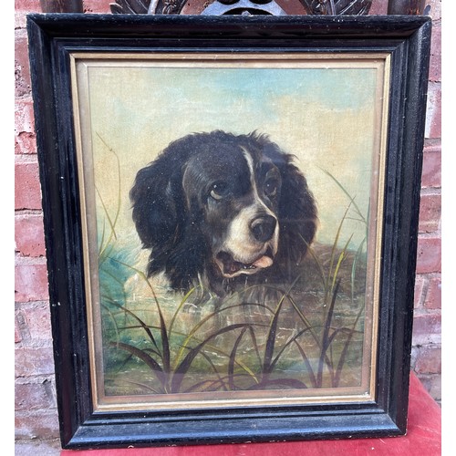 238 - WILLIAM HUNT OILS ON BOARD HEAD OF A SPANIEL IN MARSH FRAMED AND GLAZED SIGNED LOWER LEFT