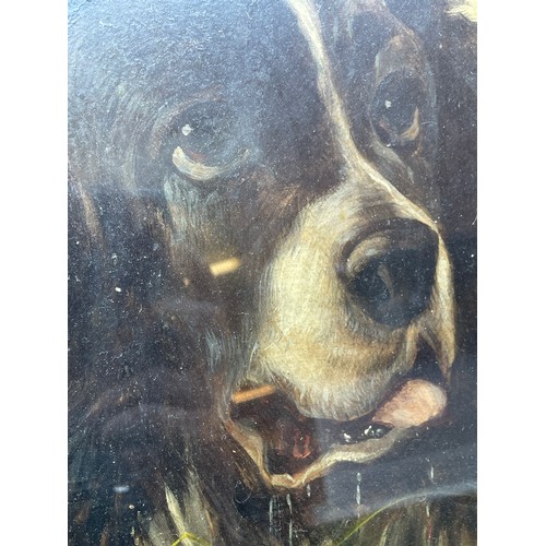 238 - WILLIAM HUNT OILS ON BOARD HEAD OF A SPANIEL IN MARSH FRAMED AND GLAZED SIGNED LOWER LEFT