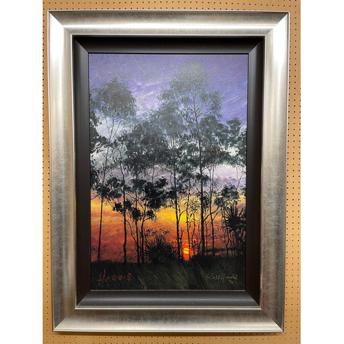 290 - ROLF HARRIS LIMITED EDITION GICLEE CANVAS 70/195 ENTITLED DARWIN DAWN