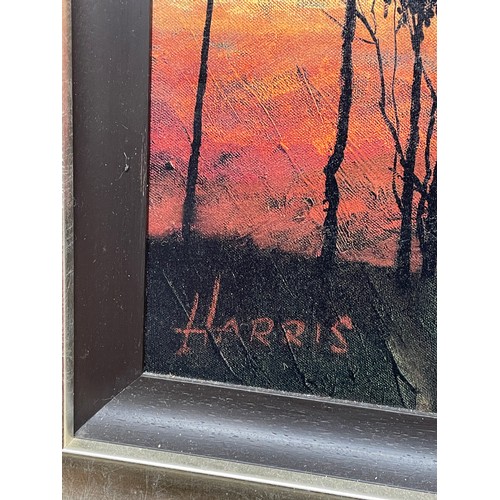 290 - ROLF HARRIS LIMITED EDITION GICLEE CANVAS 70/195 ENTITLED DARWIN DAWN