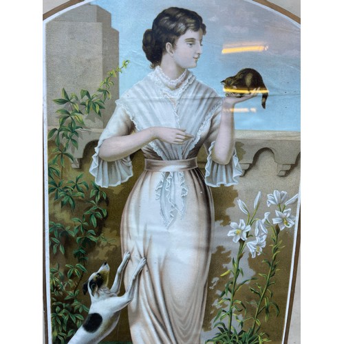 239 - EDWARDIAN LITHOGRAPHIC PRINT OF LADY HOLDING A KITTEN IN GLAZED OXFORD FRAME