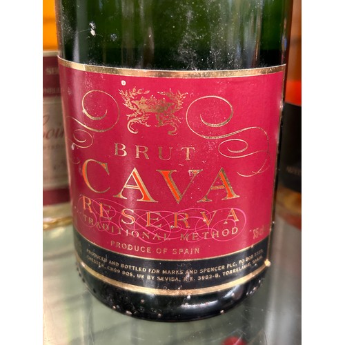 478 - BOTTLES OF CAVA AND SPARKLING WINES