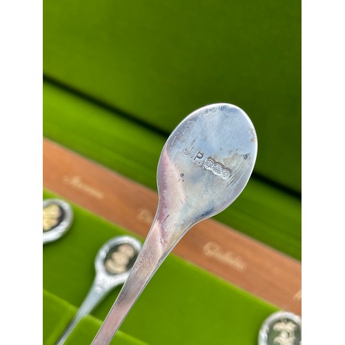 486 - CASED SET OF TWELVE SILVER ROYAL HORTICULTURAL SOCIETY FLORAL SPOONS