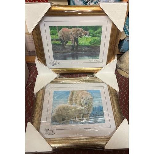 273 - SET OF FIVE STEVEN GAYFORD PHOTO PRINTS OF AFRICAN WILDLIFE FRAMED AND GLAZED