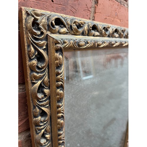 215 - GILT ACANTHUS DOUBLE FRAMED OBLONG MIRROR