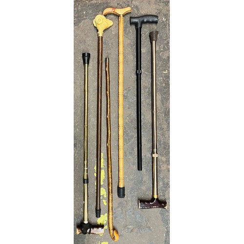 558 - BUNDLE OF WALKING CANES ONE WITH RESIN RAMS HEAD