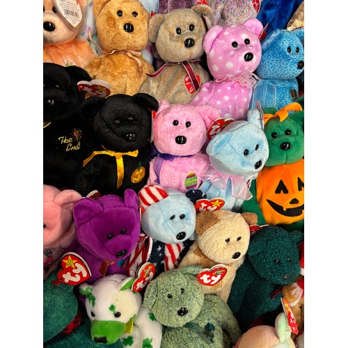 561 - VARIOUS TY PLUSH BEANIE BEARS