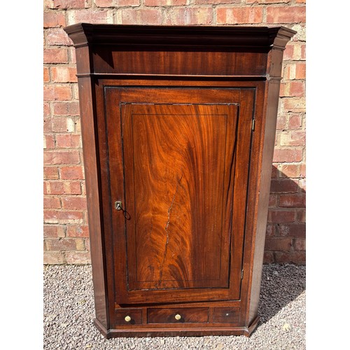 Lot 55        
