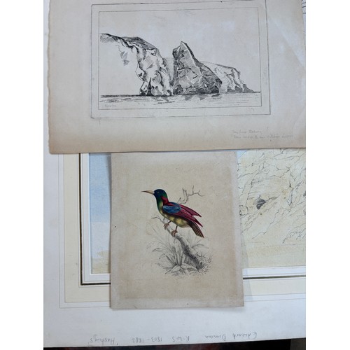 765 - WATERCOLOUR SKETCH OF CLIFFS OFF HASTINGS, PEN AND INK SKETCH OF BARBY BY F LEWIS SIGNED AND DATED 1... 