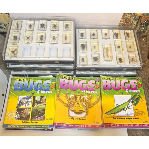 FIVE TRAYS OF ENTOMOLOGY RESIN CAST BUGS AND INSECTS WITH ACCOMPANYING ...
