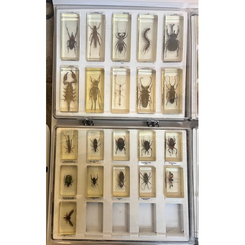 FIVE TRAYS OF ENTOMOLOGY RESIN CAST BUGS AND INSECTS WITH ACCOMPANYING ...