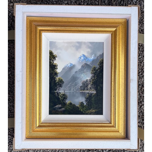 232 - TIM WILSON (NEW ZEALAND SCHOOL) "GEORGE SOUND" OILS ON BOARD FRAMED IN CARRY CASE