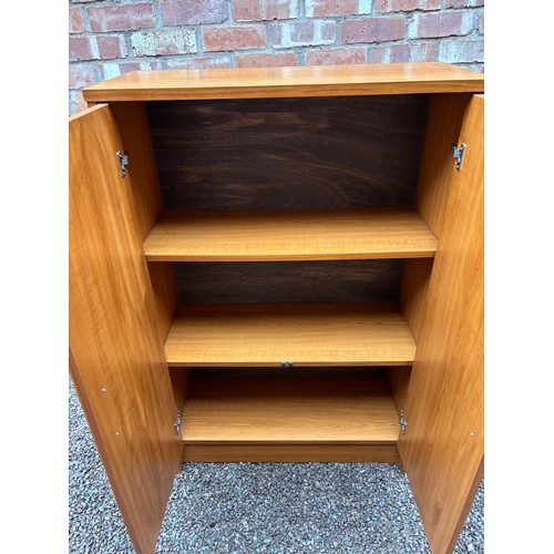 53 - TEAK TWO DOOR CUPBOARD