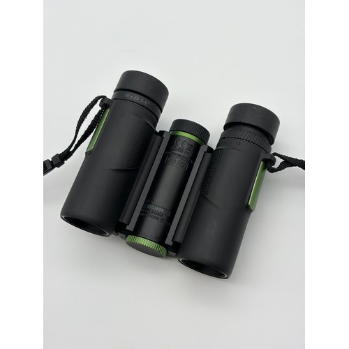 369 - NIKON STABILIZED 10X25 5.6 BINOCULARS