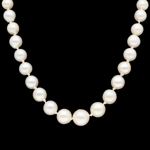 44 - Silver Clasped with Bow Freshwater Pearl Necklace Necklace Weight 28.4 Grams Length 21 inch