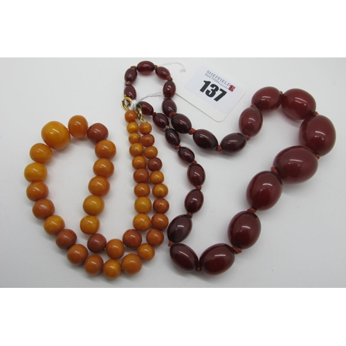 Lot 137       