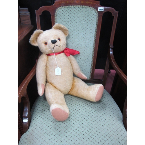 1336 - A Mid XX Century Fully Jointed Gold Plush Teddy Bear, with stitched nose and glass eyes. 60cm high.