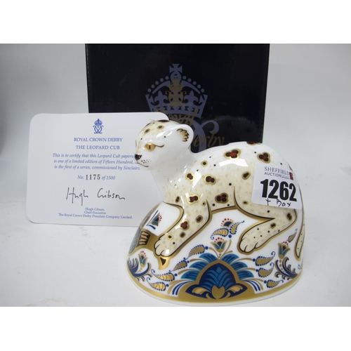 1262 - Crown Derby Paperweight 'Leopard Cub' Specially Commissioned by Sinclairs, l;limited edition of 1500... 