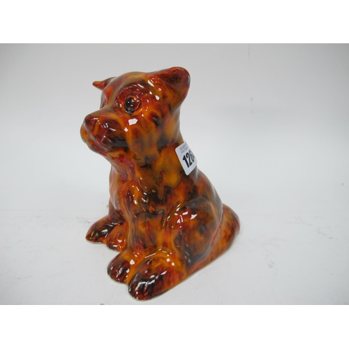 1264 - Anita Harris Model of a Cute Terrier Dog, gold signed, 14cm high.