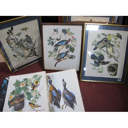 1056 - The Audubon Folio Containing Nine (of Thirty) Images, plus twelve frame examples