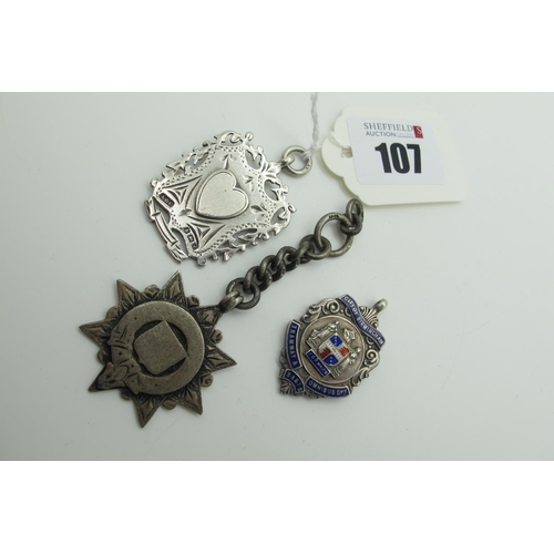 107 - A Hallmarked Silver Medallion Pendant, highlighted in enamel 