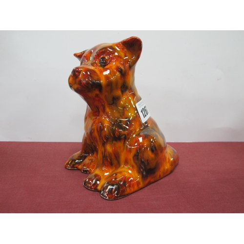 1267 - Anita Harris Cute Seated Terrier Dog, gold signed, 15cm high.