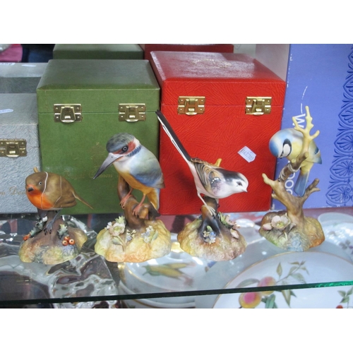 1294 - Royal Crown Derby 'Kingfisher', 'Blue Tit, 'Long Tailed Tit', 'Robin',(damaged) original boxes for t... 