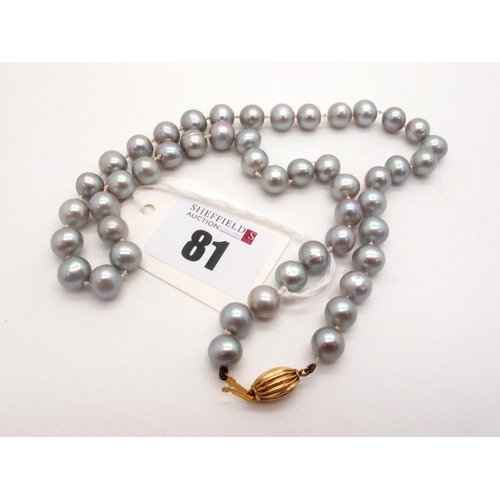 81 - A Single Strand Uniform Grey Pearl Bead Necklace, knotted to fluted clasp stamped 