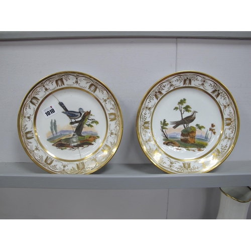 1010 - Halley, A Pair of Early XIX Century Handpainted Porcelain Plates of Ornithological Studies, each nam... 