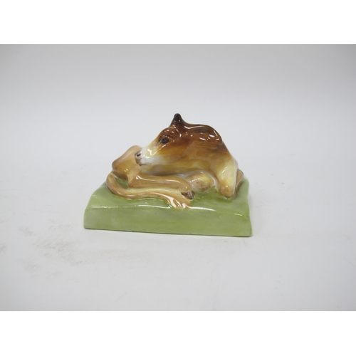 1029 - A Royal Worcester Porcelain Model 'Calf', modelled recumbent on an oblong base, designed by Stella C... 