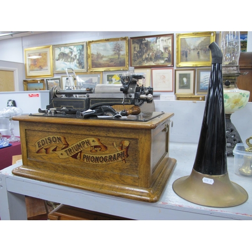 1285 - An Oak Cased Edison Triumph Phonograph, model No. 20706, with horn, 42cm long, 41cm high.