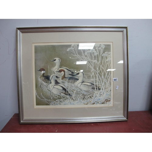 1451 - After Charles Frederick Tunnicliffe (1901-1979) *ARR, Smew, limited edition print number 381/500, s... 