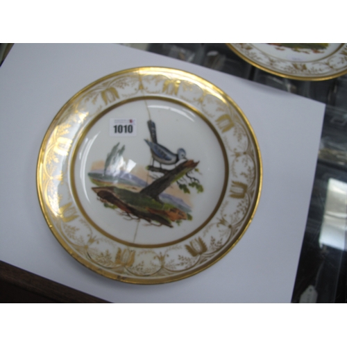 1010 - Halley, A Pair of Early XIX Century Handpainted Porcelain Plates of Ornithological Studies, each nam... 