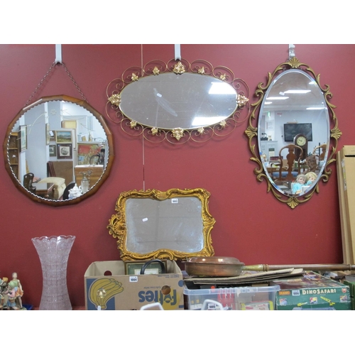 1003 - A Mid XX Century Circular Wall Mirror, with pie crust border and walnut surround 55.5cm wide, gilt m... 