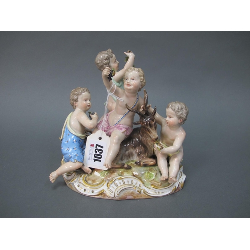 1037 - A Late XIX Century Meissen Porcelain Model of Four Cherubs, representing 'Autumn', each holding grap... 