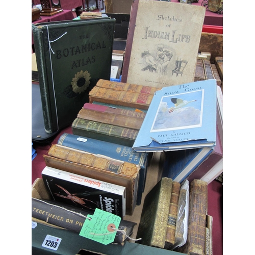 1203 - A Box of Mainly Antiquarian Books on Natural History, to include: Goldsmiths Animated Nature, vols I... 