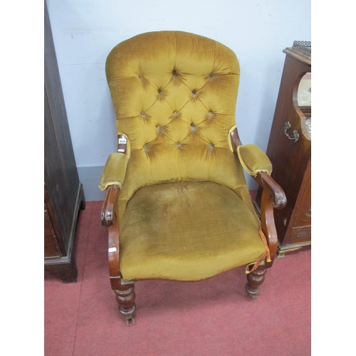 1569 - XIX Century Mahogany Armchair, with upholstered button back, arms, seat and scroll arms, on turned l... 