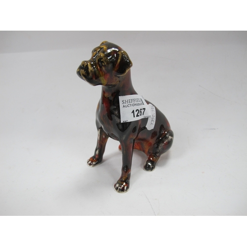 1267 - Anita Harris Multicoloured Boxer Dog Figure, gold signed, 12cm high.