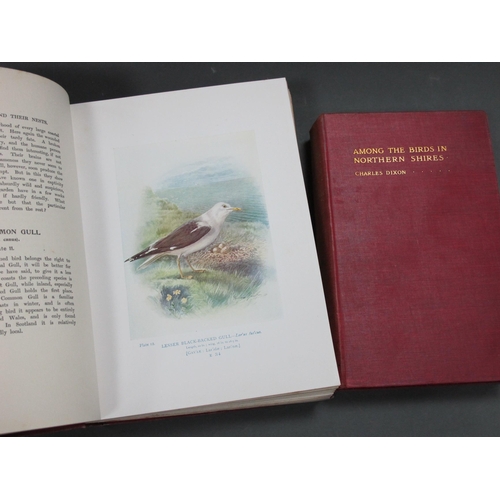 1283 - Lansborough Thomson [A]: Britain's Birds and Their Nests, with 182 colour illustrations by George Ra... 