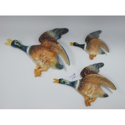 1181 - Falcon ware, a set of three graduated mallard duck wall plaques. (3)