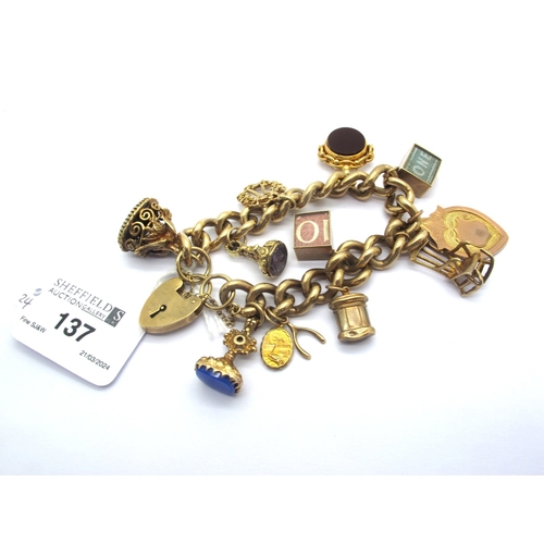 Lot 137       