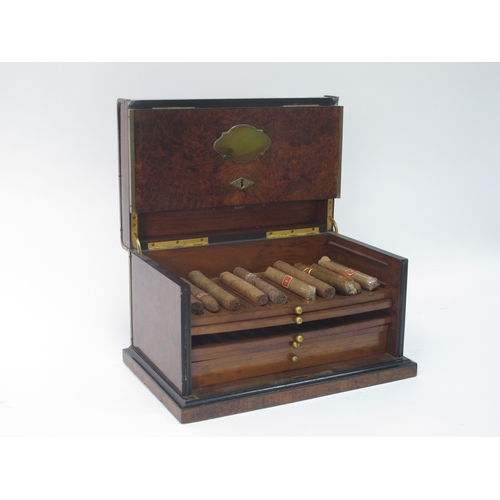 1283 - A Burr Elm Late XIX Century Cigar Cabinet, with hinged lid and front, enclosing a drawer and four tr... 