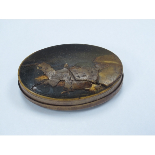 1322 - An Early- Mid XIX Century Walnut Snuff Box, of rectangular form, the hinged lid carved with figures ... 