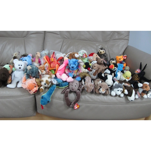 1018 - Approximately Fifty Ty Beanie Babies, comprising of 'Flitter the Butterfly', 'Honks the Goose', 'Nib... 