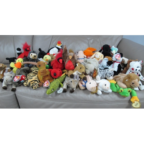 1045 - Approximately Fifty Ty Beanie Babies, consisting of 'Schweetheart', 'Morrie the Eel', 'Knuckles the ... 