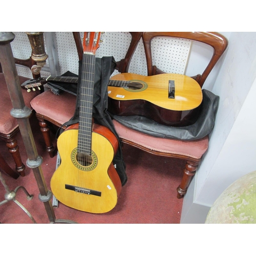 1178 - KCL 907 and 9 Nui Acoustic Guitars (2)