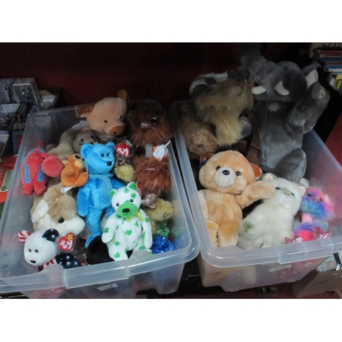 Lot 1026      