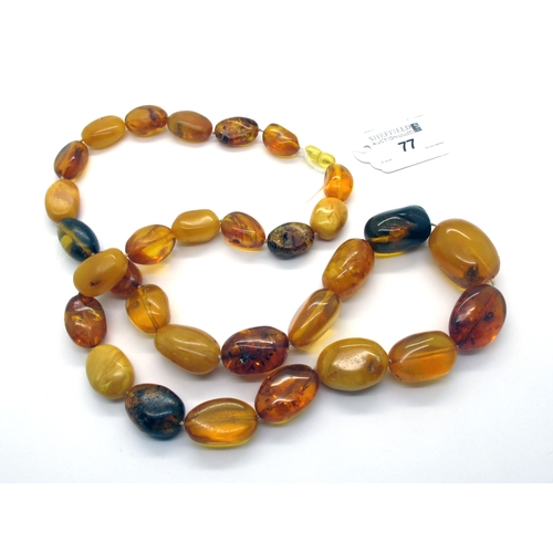 77 - A Long Graduated Single Strand Multi Amber Colour Bead Necklace, irregular beads, approximately 86cm... 