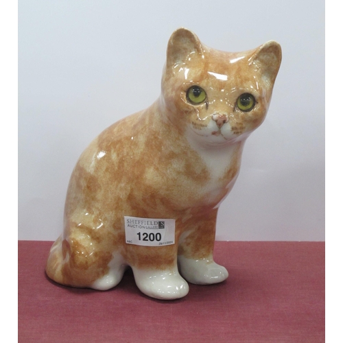 1200 - A Winstanley seated ginger tabby cat with yellow glass eyes, signed to base, approx 19cm high.