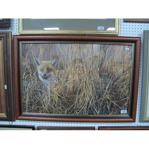 1497 - David Miller Original Artwork, Fox Amongst Reeds and Grass, acrylic, signed and dated '90, 44 x 67.5... 